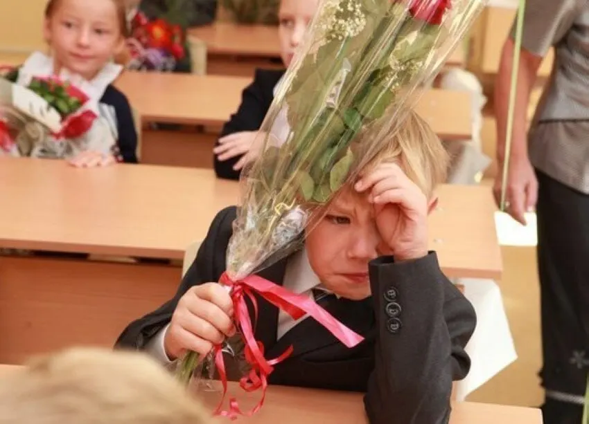 Замглавы Минпросвещения заявил, что 11 лет — оптимальная продолжительность обучения; стандарты и донастройки будут вводиться с расчётом на 11 классов.