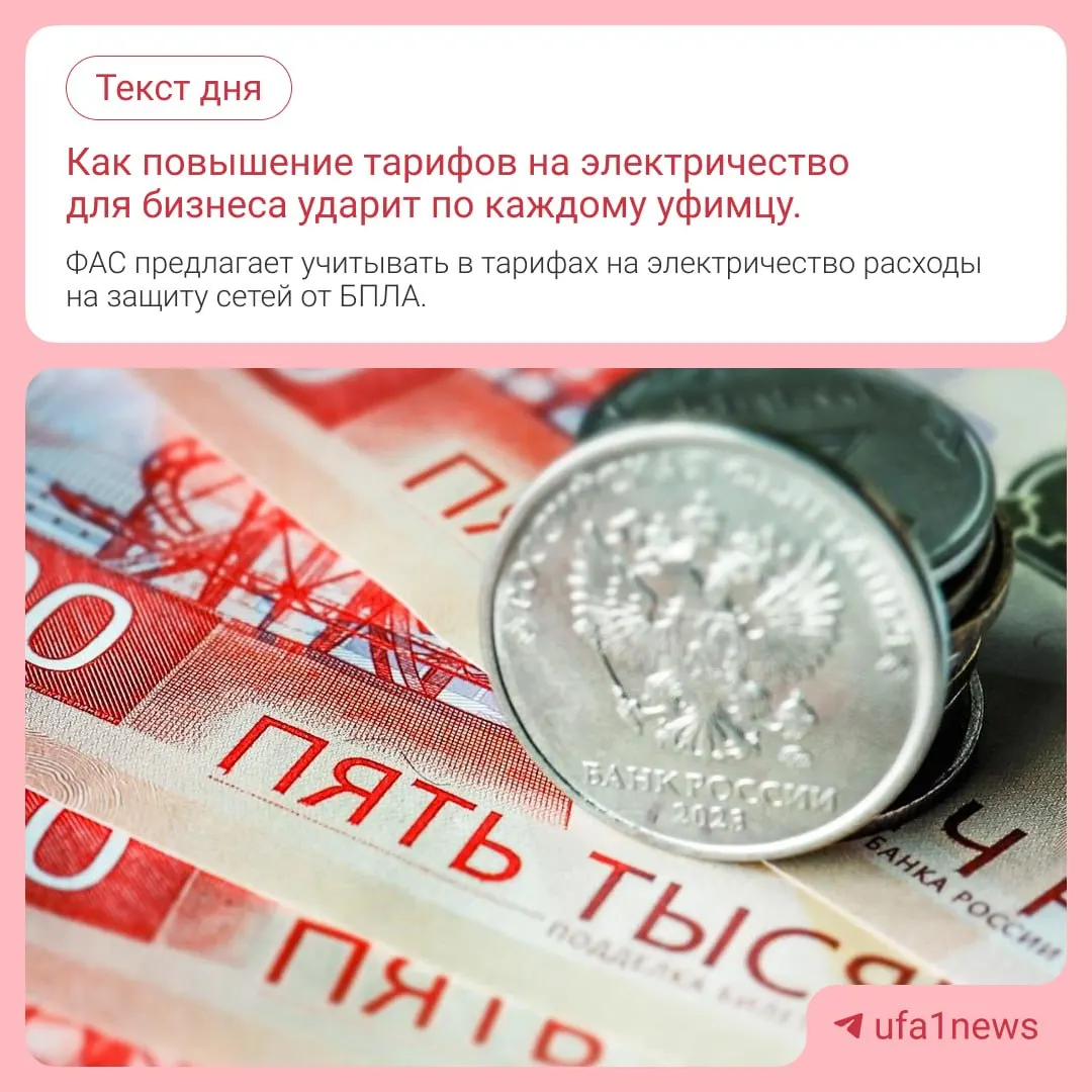 ФАС инициирует изменение расчета тарифов, чтобы учитывать расходы на защиту электросетей от дронов; это может сказаться на ценах для жителей.
