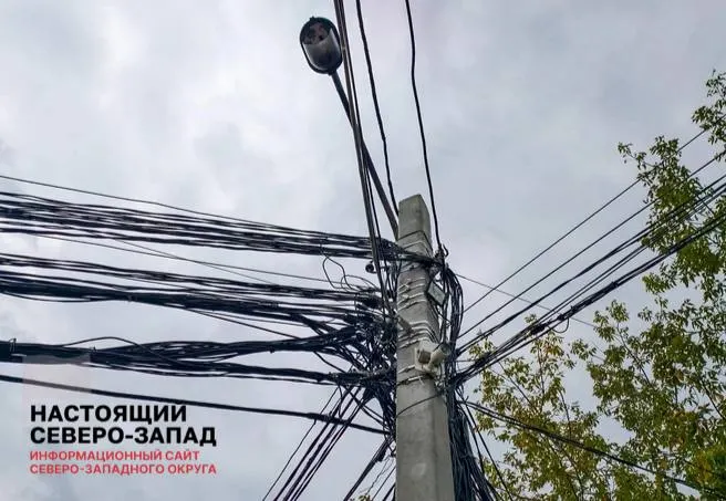 ФАС предложил включать в тарифы на передачу расходы на защиту ЛЭП и восстановление повреждений; это может привести к росту счетов потребителей и бизнеса.