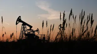 Доля нефтегазового сектора в ВВП России в прошлом году снизилась до 13% на фоне санкций, ограничений добычи и сокращения нефтегазовых доходов бюджета.