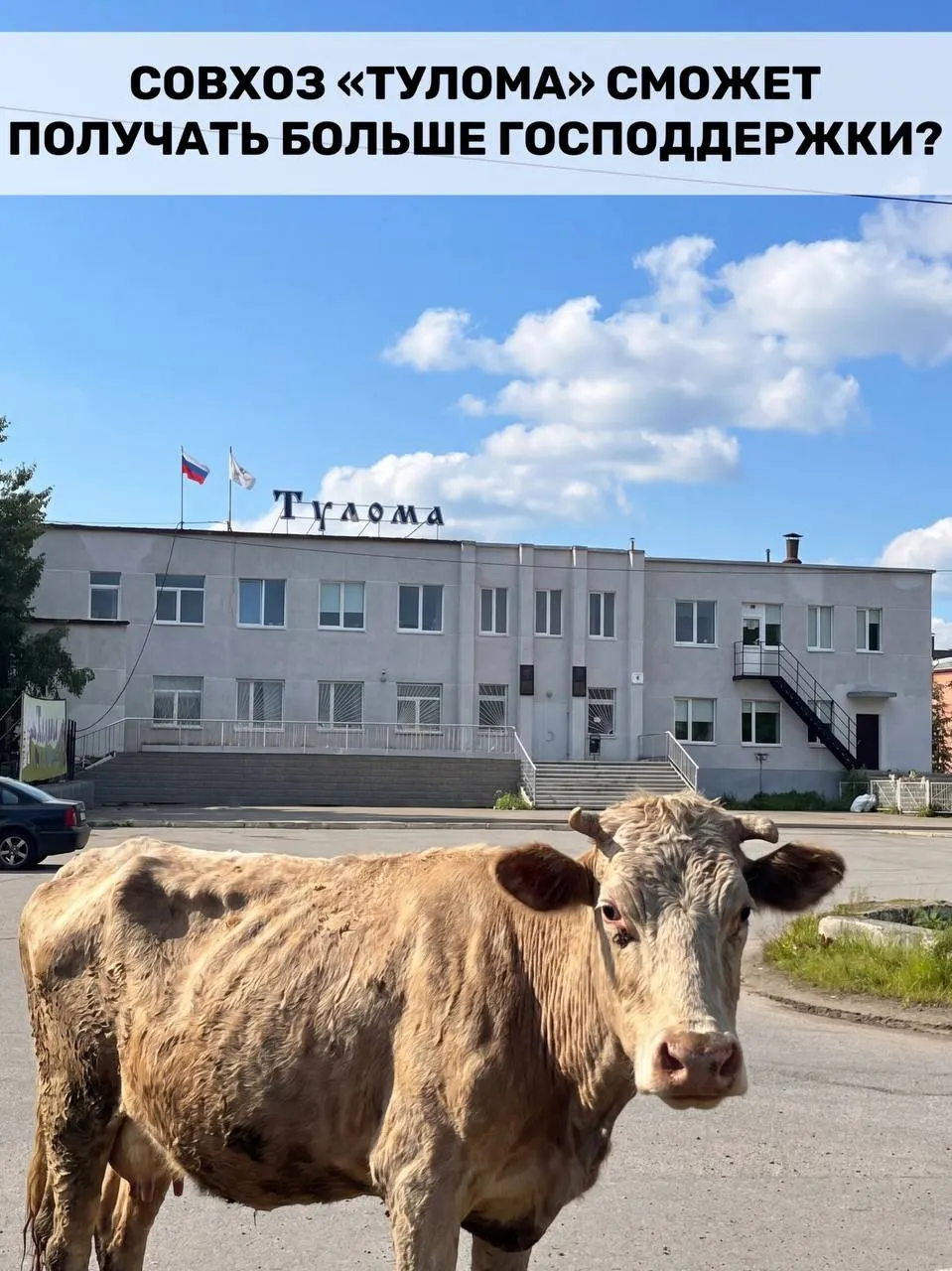 Правила субсидирования молочного животноводства изменили: теперь господдержка доступна хозяйствам с долей государства или муниципалитета более 25%. Для региона это важно на фоне проблем на отдельных предприятиях.