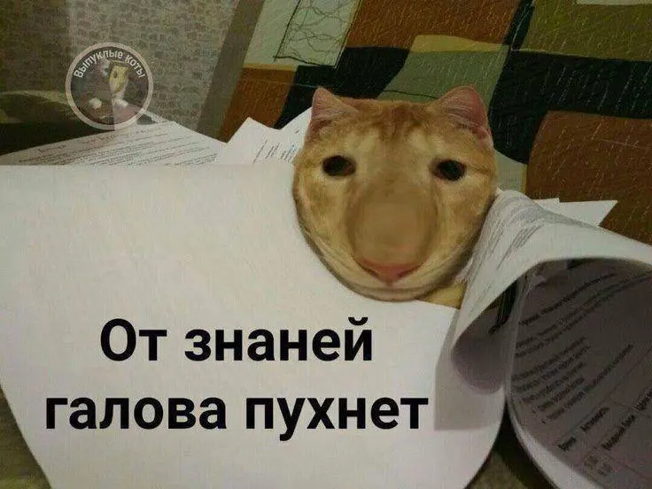 Минспорт предложил ввести испытание по управлению небольшим дроном: в тестовом режиме — в этом году, а со следующего года норматив станет доступен по всей стране. Значок ГТО может добавить до 10 баллов к результатам экзамена.