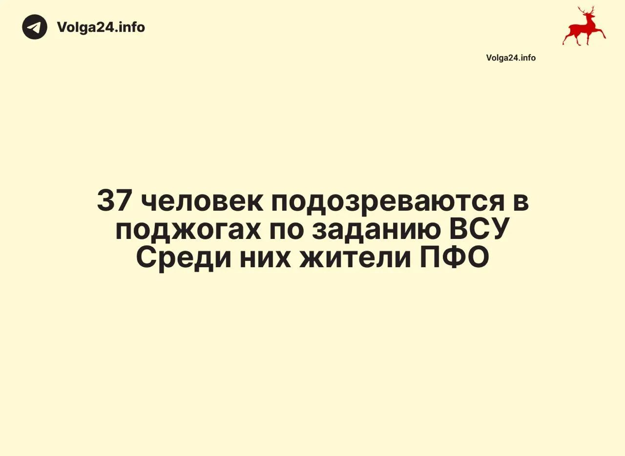 По всей России в рамках масштабной операции задержали 88 человек, у них изъяли более 50 сим‑боксов и около 8 тысяч SIM‑карт. Дополнительно арестованы 37 подозреваемых в поджогах объектов инфраструктуры.