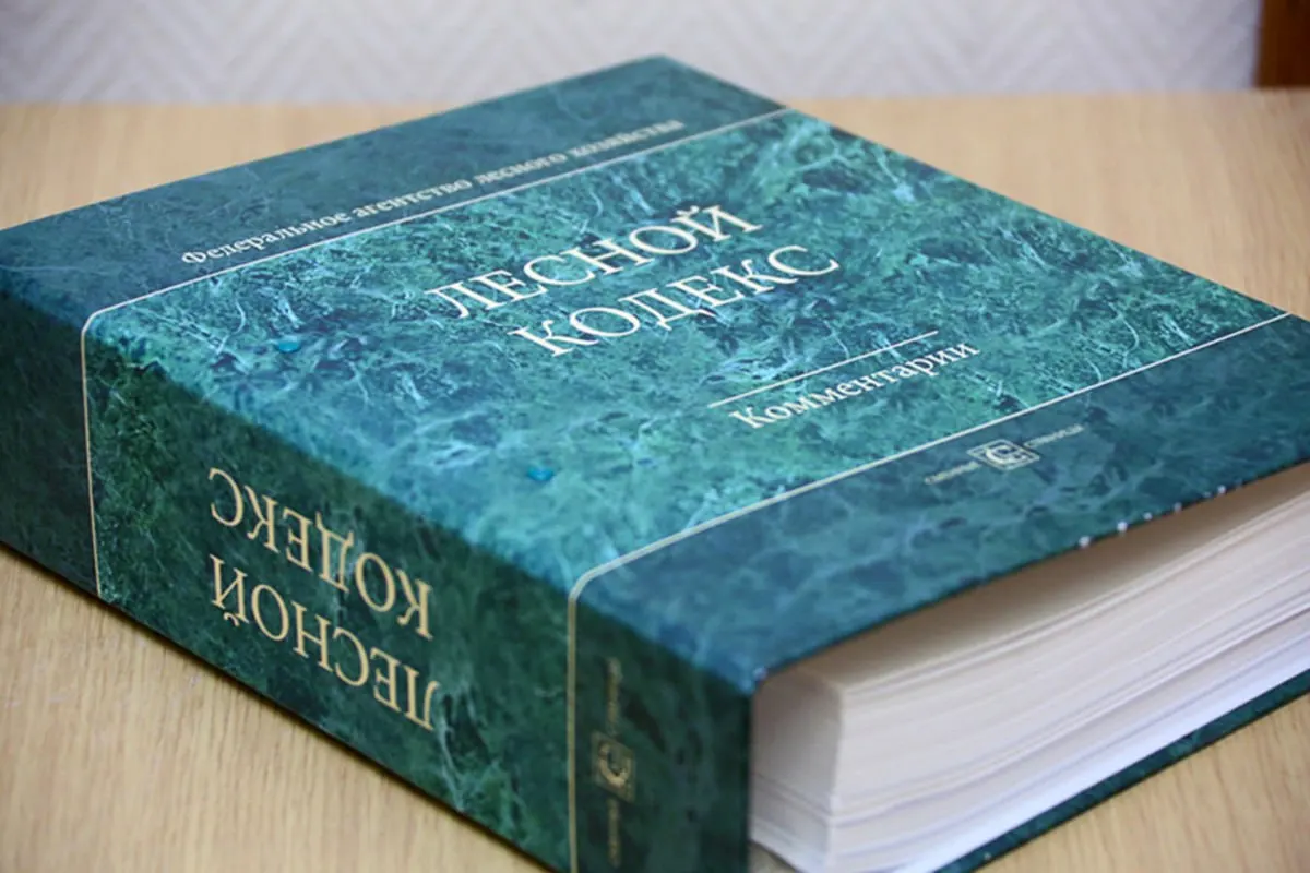 С момента принятия в 2006 году в кодекс внесли 79 пакетов поправок; эксперт по лесам считает, что документ устарел и требует полной замены и существенного упрощения.