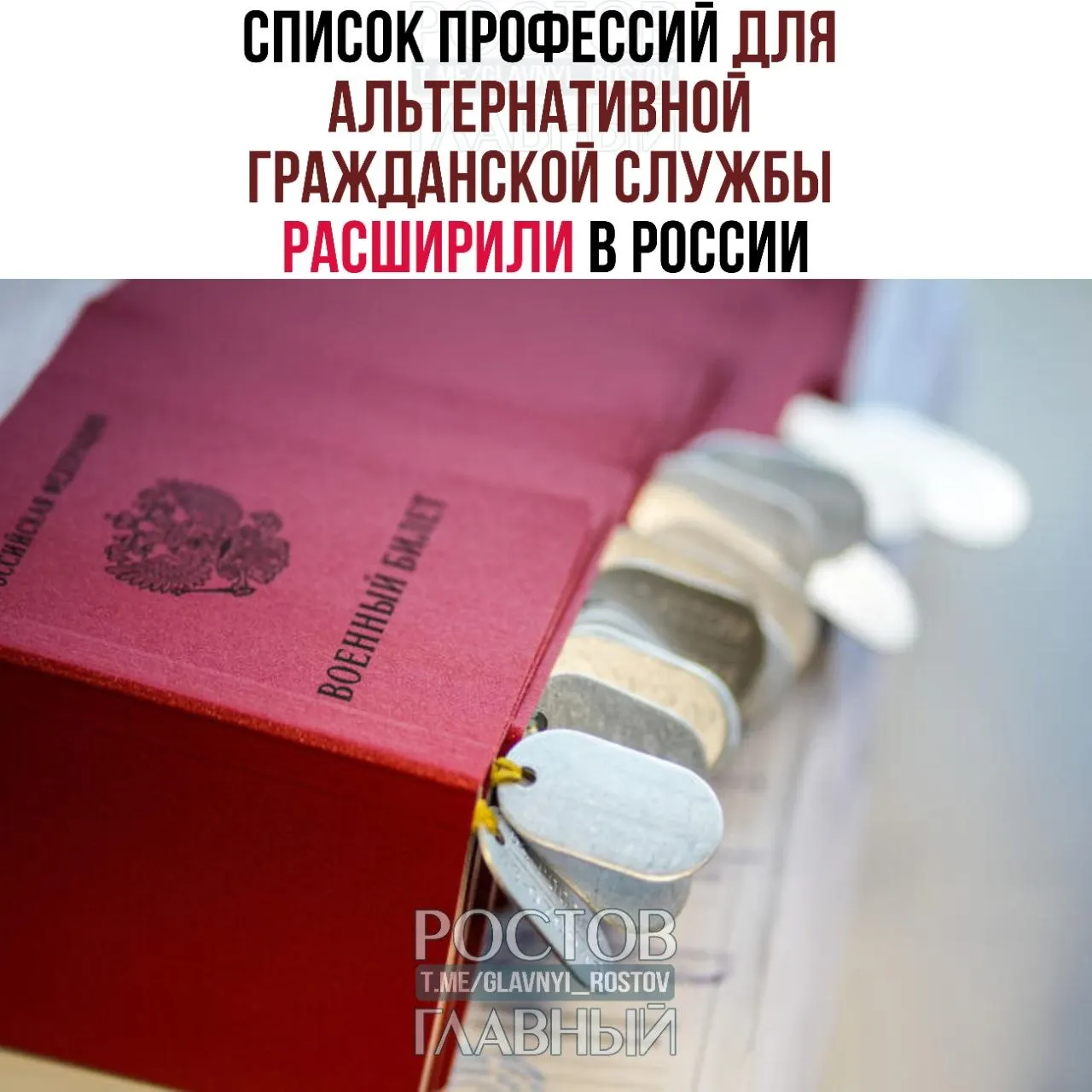 В список добавлены медики, ремесленники и специалисты — от травматолога до настройщика пианино; ранее в перечне было 271 направление.