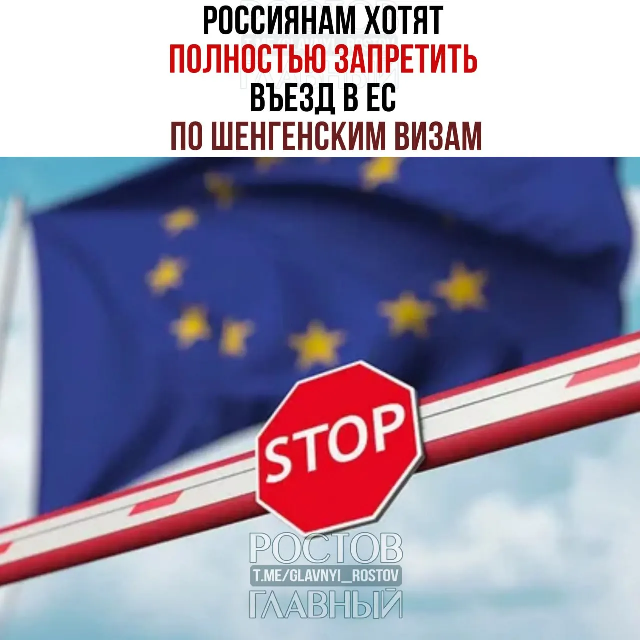 В Германии запустили кампанию за полный запрет въезда граждан России в страны Шенгенской зоны по шенгенским визам.
