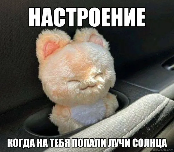 В Чите фиксируют 244 солнечных дня в году и среднюю летнюю температуру около +17 °C. В список также вошли Хабаровск, Якутск, Улан-Удэ, Владивосток, Астрахань, Омск, Уфа, Краснодар и Иркутск.