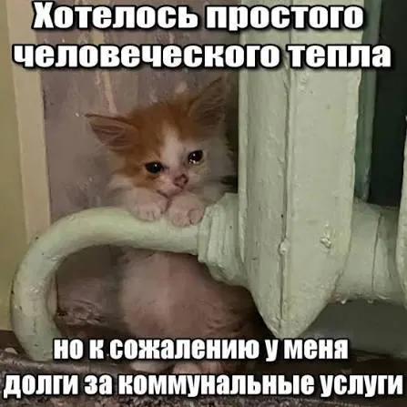 Верховный суд указал, что из квитанций нельзя требовать оплату долгов за капремонт со сроком исковой давности более трёх лет — это даёт должнику защиту от принудительного взыскания.