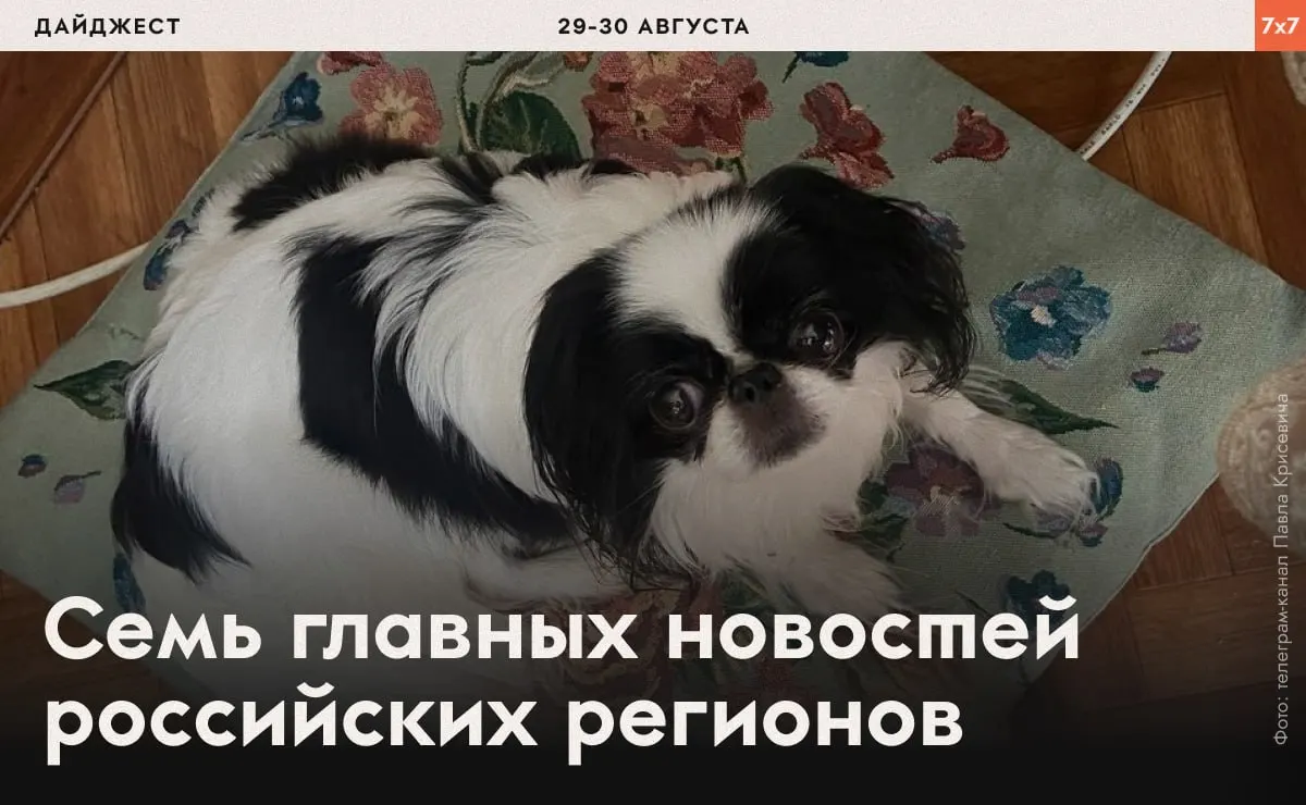 В сводке — насилие над правозащитниками, давление на политических активистов и региональные запреты на мероприятия и проекты.