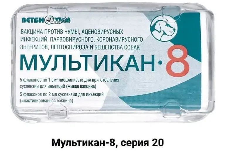 Семьи погибших после прививки «Мультикан-8» призывают к расследованию и независимым анализам вируса Ауески; инцидент зафиксирован в нескольких регионах.