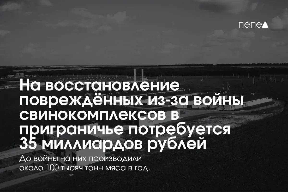 Из-за обстрелов и атак приграничных регионов предприятия вынуждены вкладывать средства в безопасность и инфраструктуру, некоторые фермы были вынуждены закрыться.